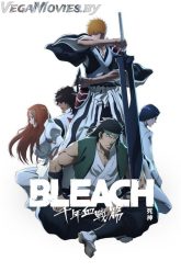 Bleach Thousand-Year Blood War vegamoviesss.lat